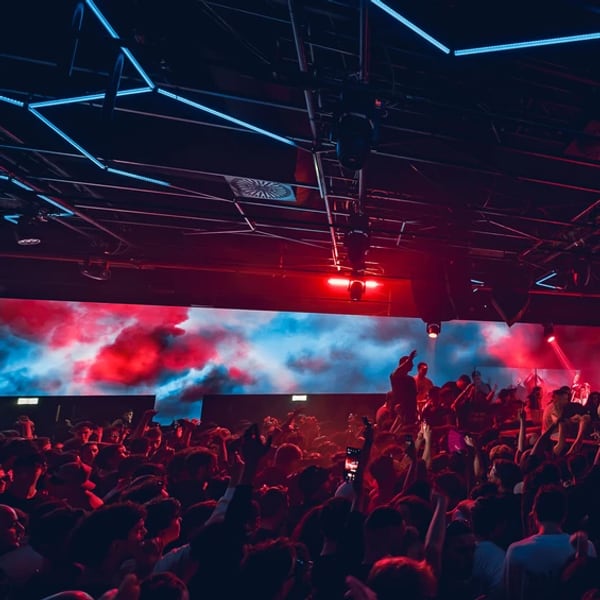 Amnesia Milano