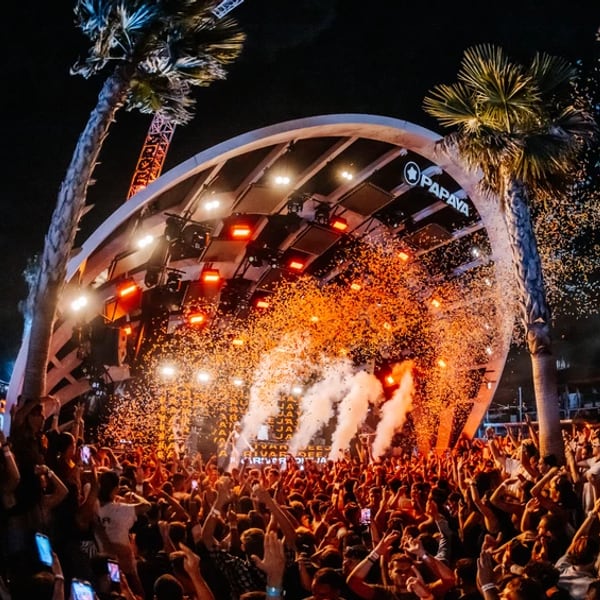 Papaya Club