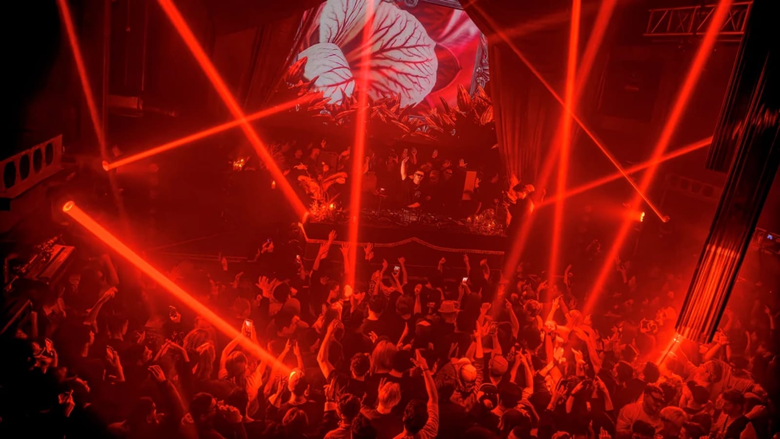 WOMB